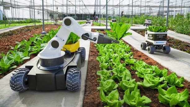 IA en la agricultura